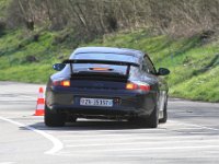 IMG 6144 MS