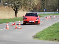 IMG 6716 MS